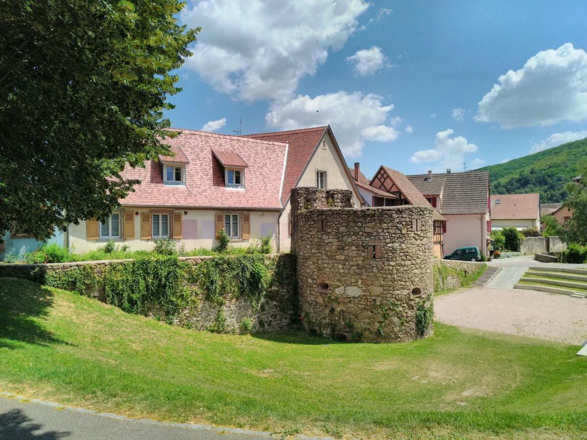 La Grande Terrine - Gites Les Potiers Kaysersberg-Vignoble Exteriér fotografie