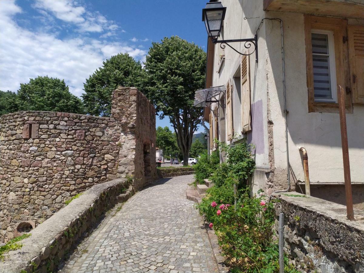 La Grande Terrine - Gites Les Potiers Kaysersberg-Vignoble Exteriér fotografie