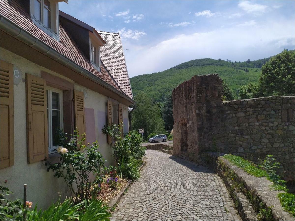 La Grande Terrine - Gites Les Potiers Kaysersberg-Vignoble Exteriér fotografie