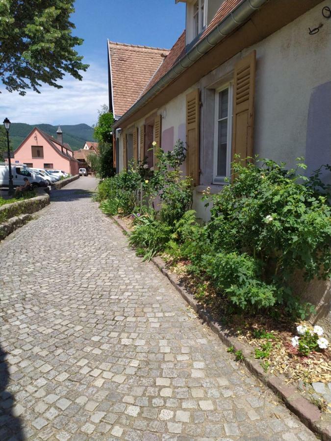 La Grande Terrine - Gites Les Potiers Kaysersberg-Vignoble Exteriér fotografie